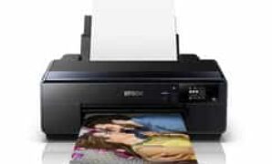 Driver Epson SureColor P600 Wide Format