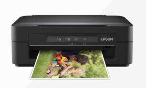 Driver Epson Expression Home XP-103