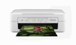 Driver Epson Expression Premium XP-257