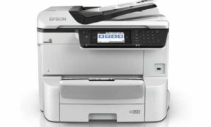 Driver Epson WorkForce Pro WF-C8610DWF