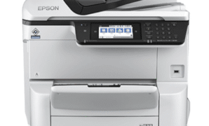 Driver Epson WorkForce Pro WF-C8690DWF, WF-C8690
