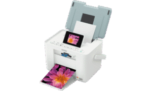 Epson PictureMate PM215