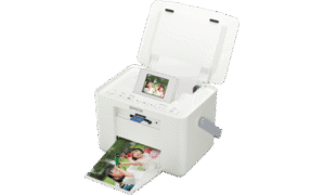 Epson PictureMate PM245