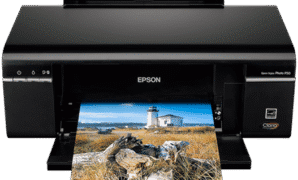 Download Epson Stylus Photo P50 Driver