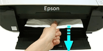 Epson Printer Paper Jam Error: Causes and Fixes